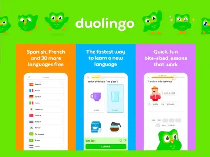 تنزيل برنامج دولينجو بدون نت Duolingo مهكر 2024 لتعلم اللغات مجاناً